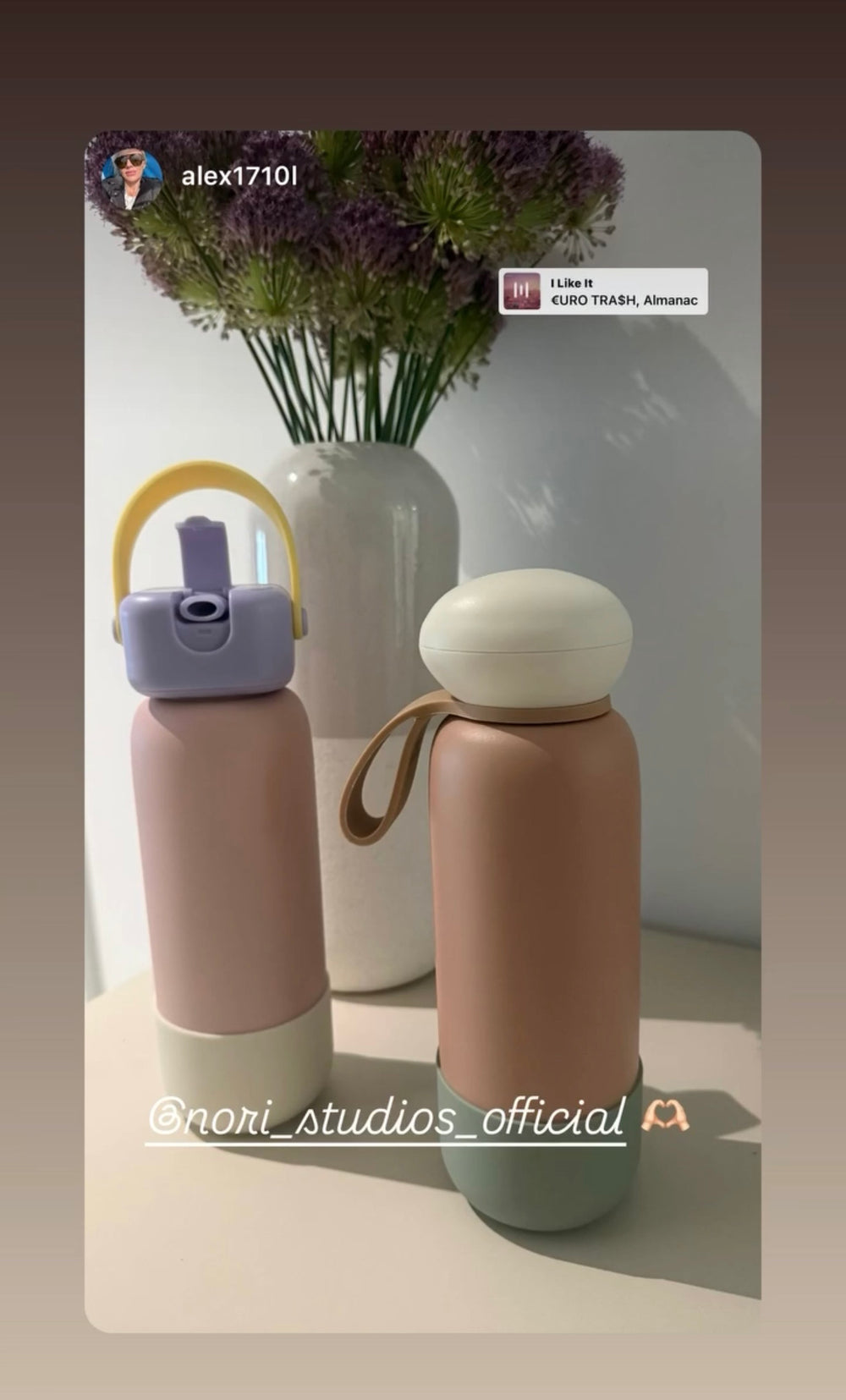 Two blush nori bottles beside a vase of dried flowers